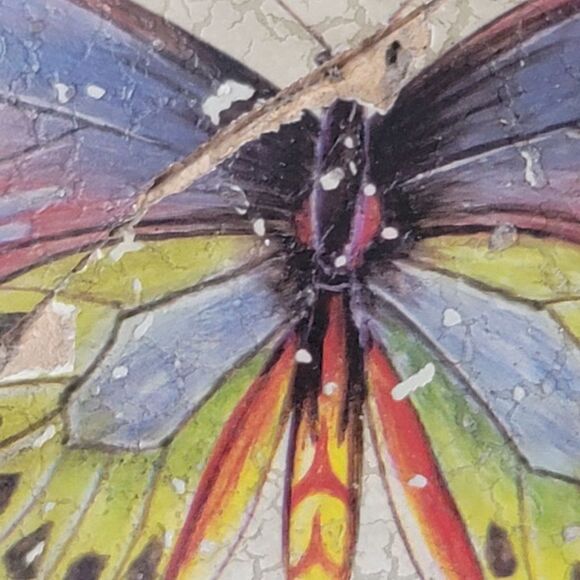 Echo Point ceramic Butterfly 90s canister cream home decor storage trinket box f - Picture 3 of 6